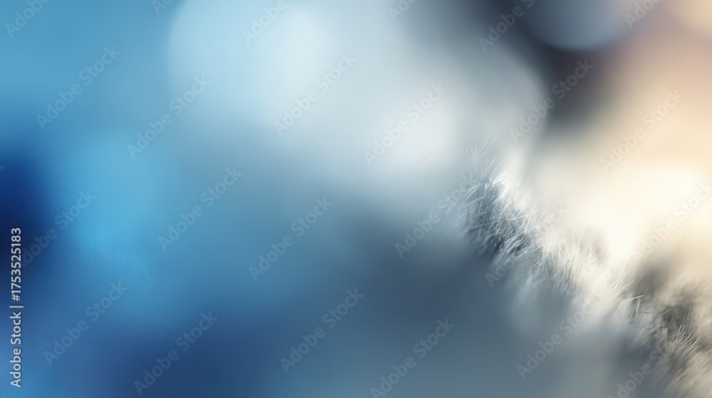 Wall mural beautiful soft blurry abstract gradient background for design