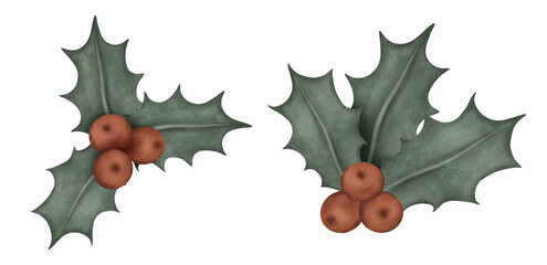 Christmas illustration of holly with its characteristic, glossy green leaves and bright red berries. Set of new year compositions conveys a festive for holiday seasons and winter celebrations.