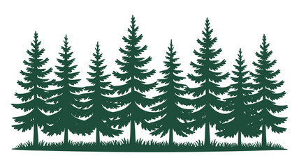 Obraz premium Silhouette of a dense forest of evergreen pine trees