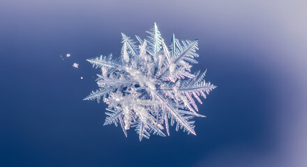 Intricate snowflake glistens with detailed icy crystal formations.