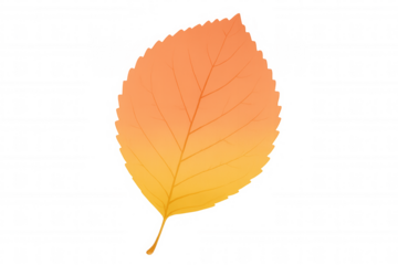 Autumn leaf gradient in orange and yellow, vibrant fall foliage element with transparent background
