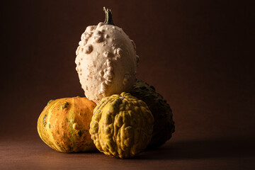 Still life of assorted pumpkins on a dark brown surface