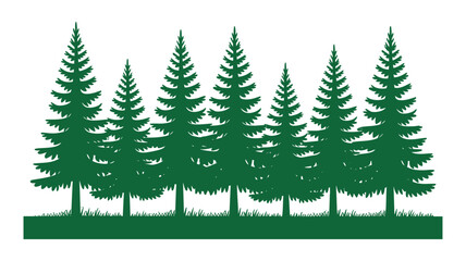 Obraz premium Green evergreen trees forest silhouette nature scene landscape design element