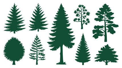 Obraz premium Collection of diverse evergreen pine and fir tree silhouettes for nature and design projects