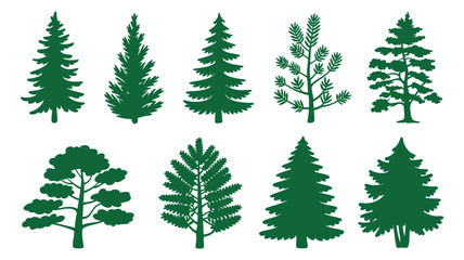 Fototapeta premium Collection of diverse evergreen pine and fir tree silhouettes for nature and design projects