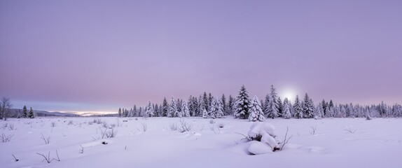 winter landscape in the mountains