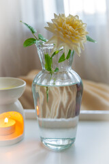An aroma lamp with essential oil and a beautiful vanilla-colored tea rose in an elegant glass vase.