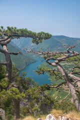 Obraz premium Canyon river meandering among green forested mountains, nature landscape photography under clear blue sky