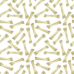 Seamless watercolor pattern of chicken bones for divination, magical rituals, sessions. All objects are hand-painted in watercolor. For printing on paper, fabric, card design.