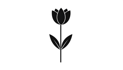 A simple, stylized black and white illustration featuring a single tulip. The flower is fully open on a long stem with two leaves. Clean design on white