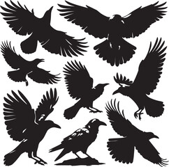  flying, birds of  set  silhouette
