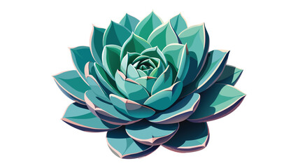 succulent plant poster with texture.