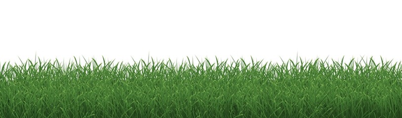 Grass Border With Isolated White Background