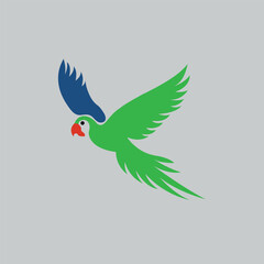 vector illustration of a parrot