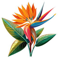 Exotic bird of paradise flower illustration on a clean white background ideal for tropical decor and floral design projects