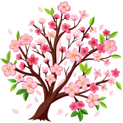 Delicate cherry blossoms in full bloom showcasing their soft pink petals against a clean white background perfect for spring and floral designs