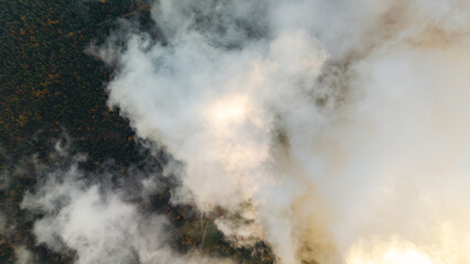 Wolken steigen über einen Wald in der Dämmerung auf, während die Sonne langsam untergeht