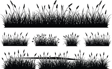 Vector Silhouettes of Grass and Wheat Plants in Multiple Styles for Nature, Landscape, Botanical, Decorative, and Educational Design Use