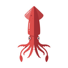 Red squid illustration in flat style with cartoon design on a transparent background  