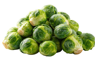 Fototapeta premium Fresh Brussels sprouts in a pile