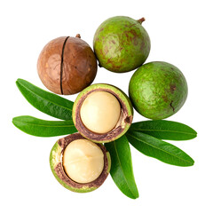 Close-up of macadamia nuts, with both whole and cut open showing the kernel, and leaves