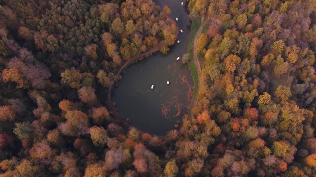 Aerial autumn view of a dense forest around Lake Parz in Dilijan, Armenia. Scenic view with boats on the water.