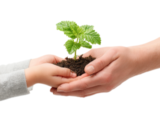 A child's and adult's hands holding a small plant seedling in soil.  Gentle care, nurturing growth