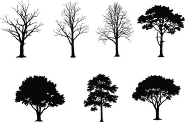 Obraz premium Tree silhouettes, bare branches, full canopy, seasonal diversity, botanical icons, nature shapes, black and white, landscape elements, tree forms