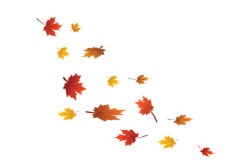 PNG Falling leaves, autumn foliage on transparent background. Flying autumn maple leaves. Vector maple leaf, png, flying foliage