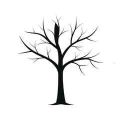 Obraz premium tree silhouette vector