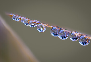 drops of water on a glass