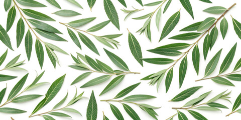 Fototapeta premium Seamless botanical pattern with fresh green leaves on a white surface. Perfect for packaging design, wallpapers, eco branding, textile prints, and natural backgrounds