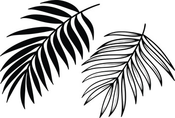 Minimal Botanical Palm Leaf Line Art Vector Illustration EPS10