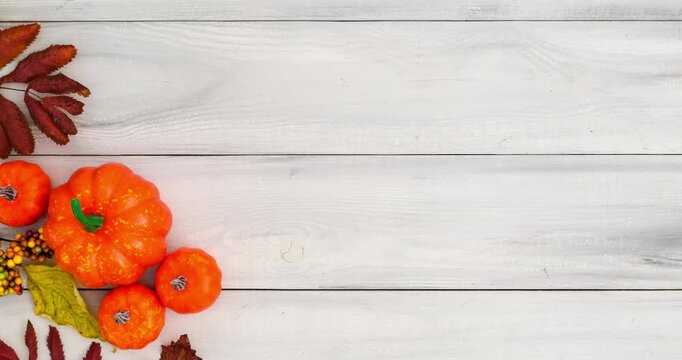 Autumn composition with pumpkins and fallen colorful leaves on white wooden background with place for text. 4K looped stop motion animation