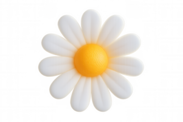 Cute white and yellow daisy 3d cartoon flower symbolizing spring, nature, happiness, and innocence, transparent background