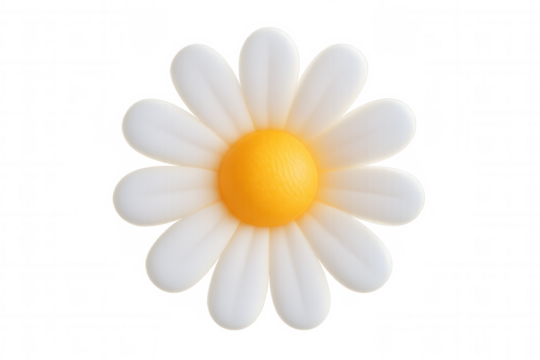 Cute white and yellow daisy 3d cartoon flower symbolizing spring, nature, happiness, and innocence, transparent background