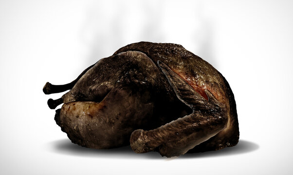 Burnt Turkey thanksgiving dinner disaster as an overcooked charred and blackened Thanksgiving roasted poultry representing autumn fails and dinner disaster bountiful dinner during harvest time.