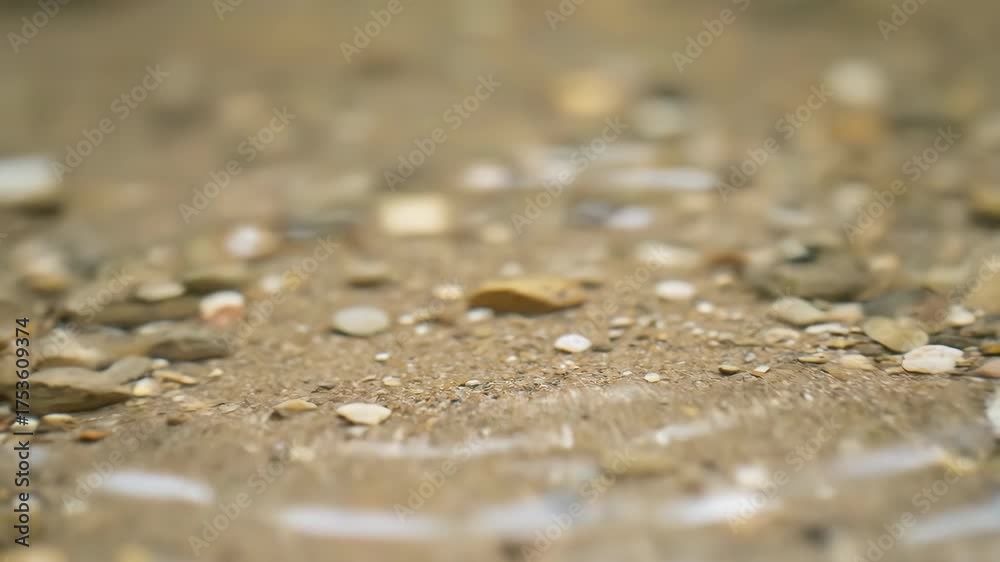 Wall mural crystal clear water in a creek showing slow motion ripples spreading from a small drop macro, wave, 