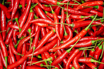 A lots of fresh organic red chilli pepper, bio food, fresh raw food, red chilli pepper from farm for sell to local market. Seamless background.