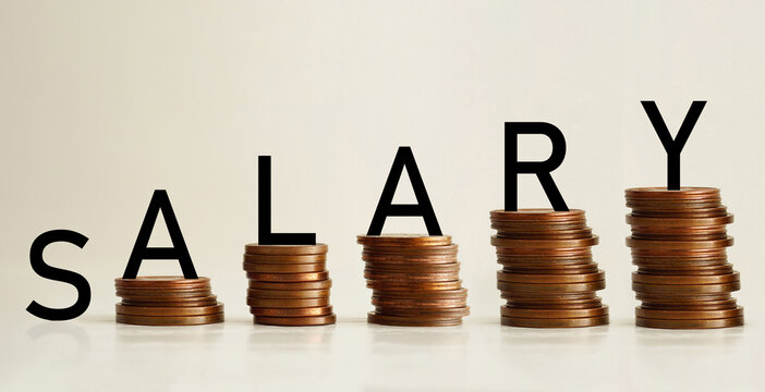 Salary and profit increase. Capital inflow Wages money finance business concept