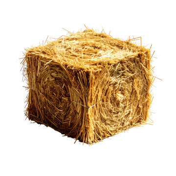 Close-up shot of a square hay bale, lit with sunlight on a black background