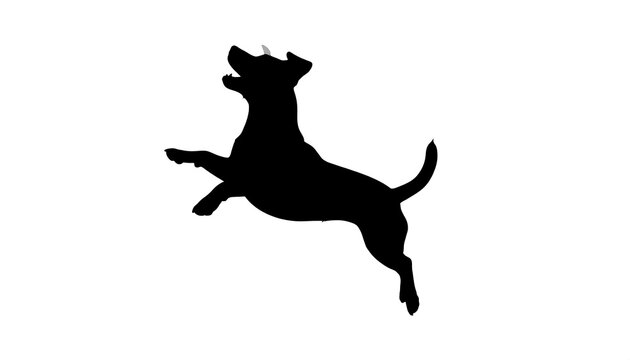 A stark black silhouette of a dog mid-leap, against a pure white backdrop. The dog is playfully arcing, mouth open