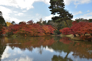 秋の仙洞御所　北池とモミジ(京都市上京区)