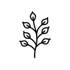 vector illustration of a green leaf