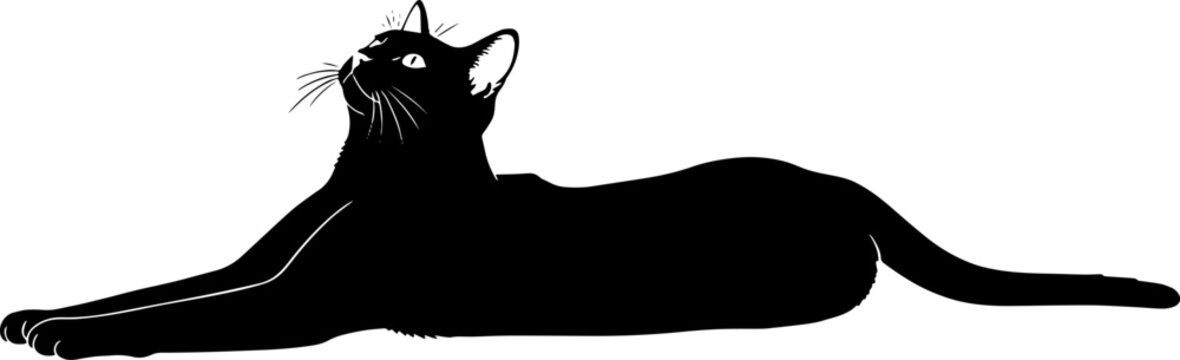Elegant black cat reclining gracefully looking upwards in a captivating pose