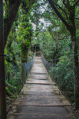 Obraz premium El puente colgante está sobre un abismo