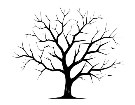 A stark silhouette of a leafless tree against a stark white background, focusing on the intricate branch structure. The image is a bold illustration