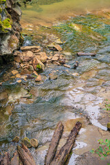 Several wooden logs lie on the riverbank.
