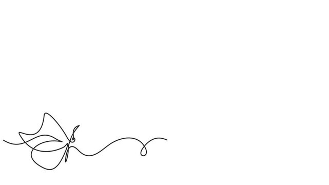 Animated self drawing of continuous line  flying butterflies Full length one line animation. 4K	