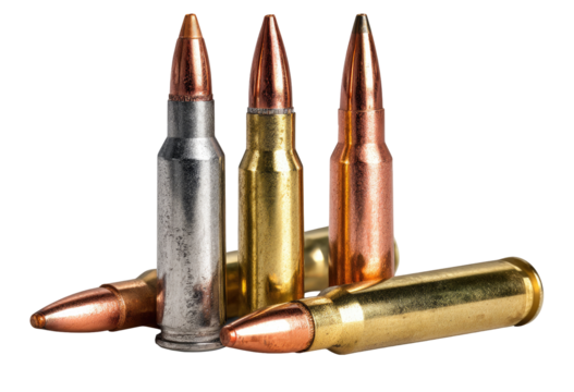 Four different types of rifle ammunition clustered together